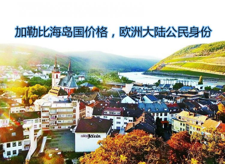 摩尔多瓦移民