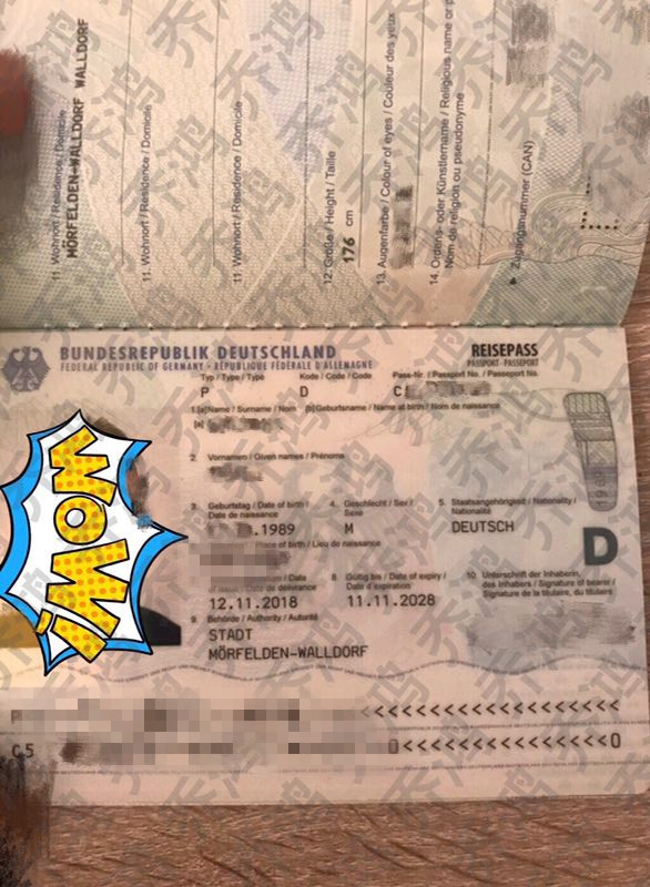 德国护照成功案例