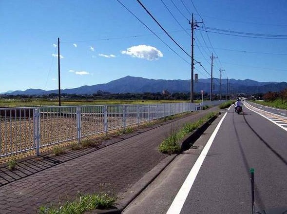 日本签证办理状态