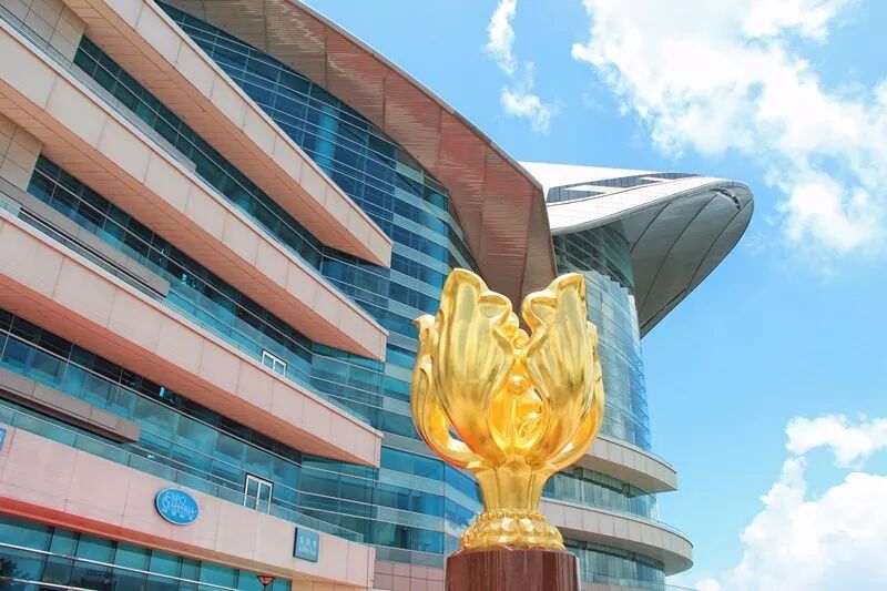 香港优才计划评分