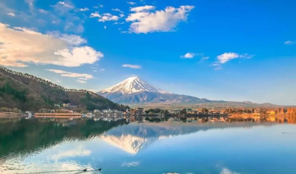 2023移民日四中热门方法，但要注意这些问题